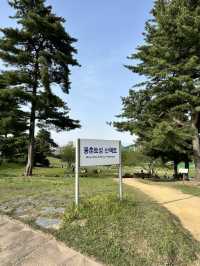 韓妞都愛來這拍「孤獨的樹」🌳 首爾奧林匹克公園全攻略✨