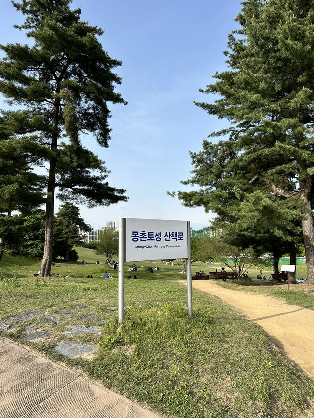 韓妞都愛來這拍「孤獨的樹」🌳 首爾奧林匹克公園全攻略✨