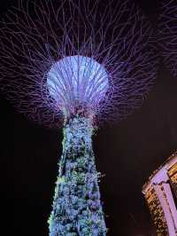 ✨🌿 รีวิวเริ่ด ๆ ของ Gardens by the Bay 🌿✨
