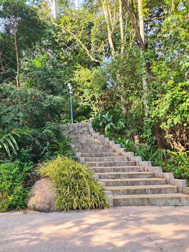 Kowloon Park