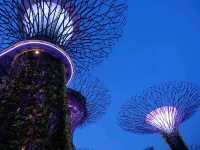 Gardens by the Bay.