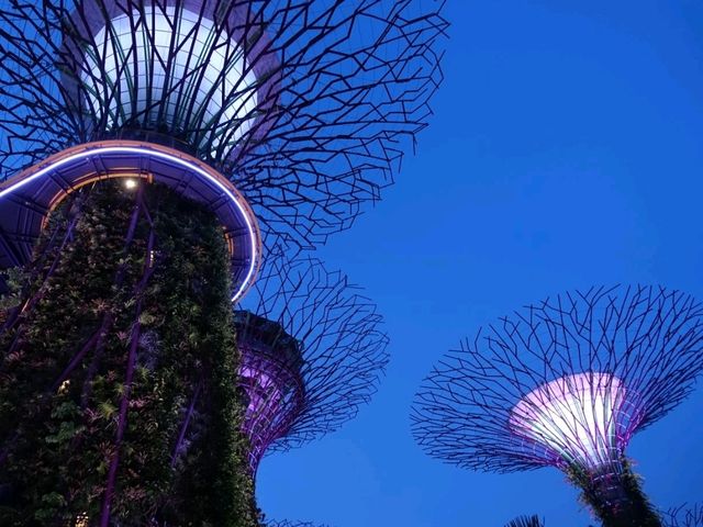 Gardens by the Bay.