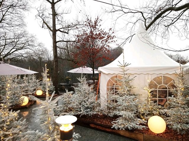 Rhine Falls Zurich is even nicer during christmas festival 