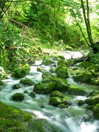 [Shiga] Kawachi no Fuana, a natural cooler that keeps temperatures at 13°C even in midsummer