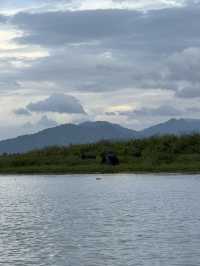 Huai Kha Kang Wildlife Sanctuary