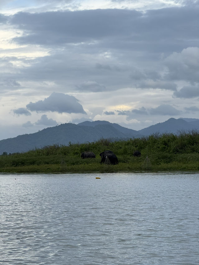 Huai Kha Kang Wildlife Sanctuary