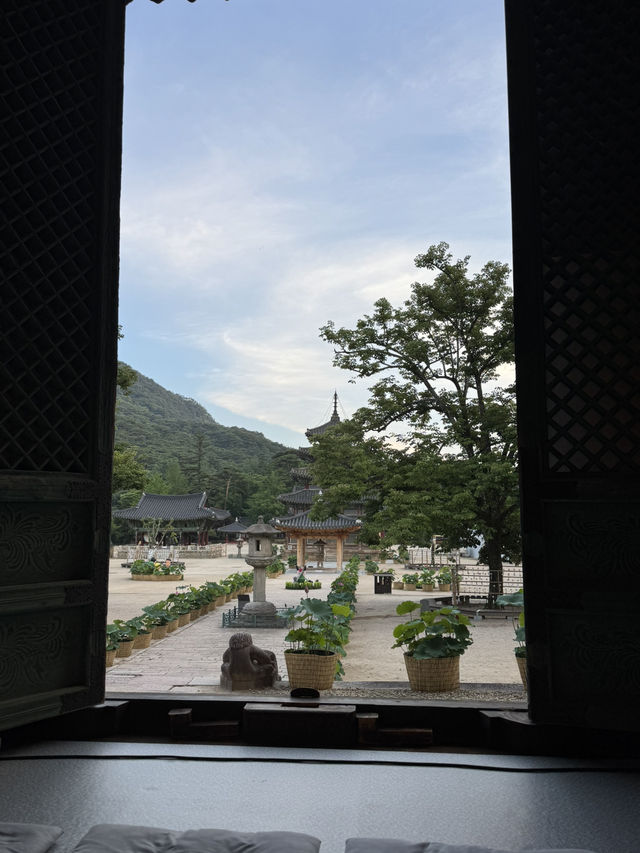 법주사에서 시원하게 여름휴양하기