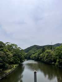 伊勢神宮｜走進神明的森林，與自然對話的靜心之旅🌿⛩️