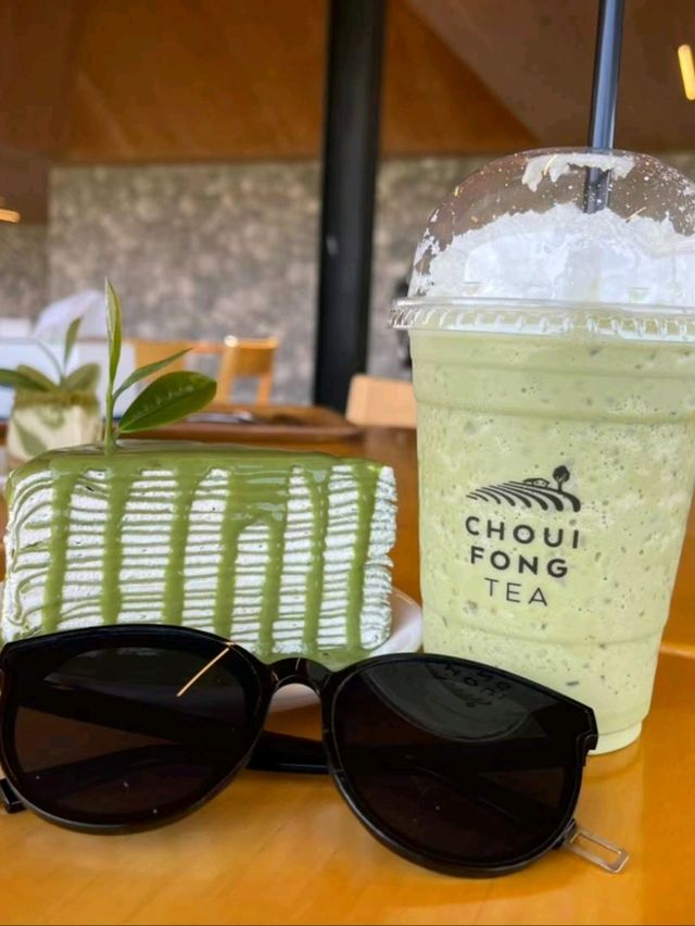จิบชา ชมเขา ไร่ชาฉุยฟง | เชียงราย🌿🍃
