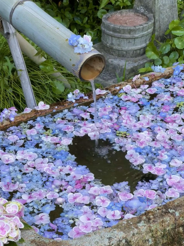 💐 โรแมนติกเฉพาะฤดูร้อนต้นปี