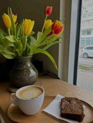 A real specialty cafe I found in Iasi☕🌿