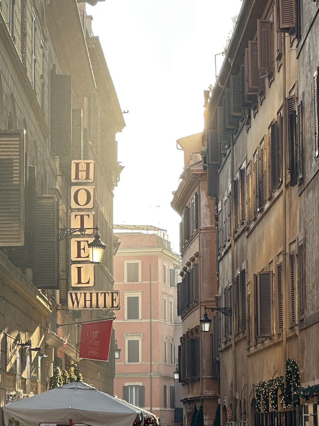 The Coin, The Myth, The Majesty: Trevi Unmasked 