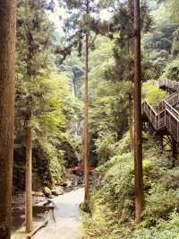 🌿 Solo Adventure: Shasui Falls – Tokyo’s Secret Waterfall Escape