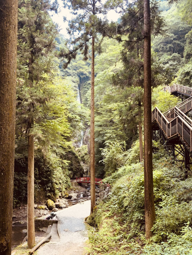 🌿 Solo Adventure: Shasui Falls – Tokyo’s Secret Waterfall Escape