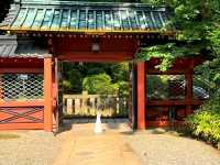 A hidden gem of Old Tokyo, the Nezu Shrine