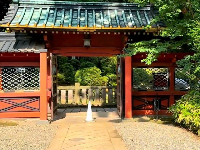 A hidden gem of Old Tokyo, the Nezu Shrine