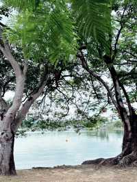 🌿 Titiwangsa Lake Park: Nature Meets the City 🌆