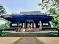 Echoes of Edo at Kan'ei-ji Temple complex