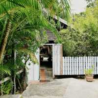 Tropical Whispers and Rustic Wonder