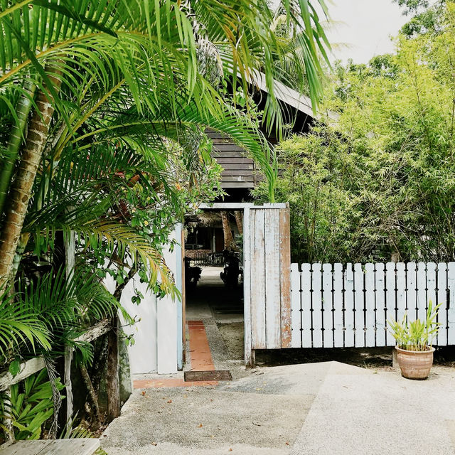 Tropical Whispers and Rustic Wonder