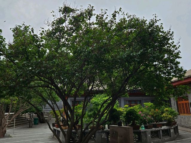 Discovering the Serenity of Xining Xiguan Mosque: A Timeless Oasis in the Heart of the City