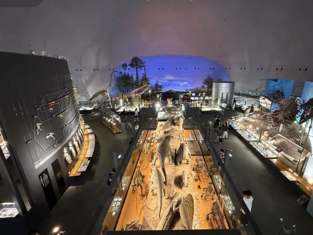 Fukui Prefectural Dinosaur Museum: A Journey to the Jurassic (and the Expo Stamp!) 🦖🦕
