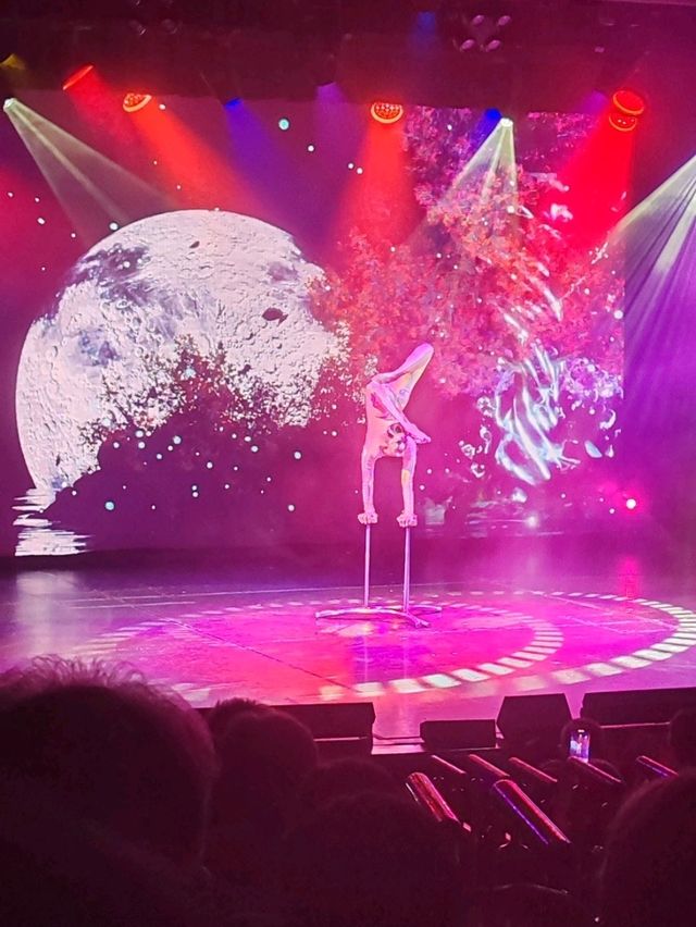 領航星號之旅