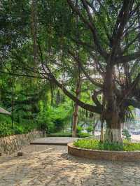 Xiangyue Park 🌳 