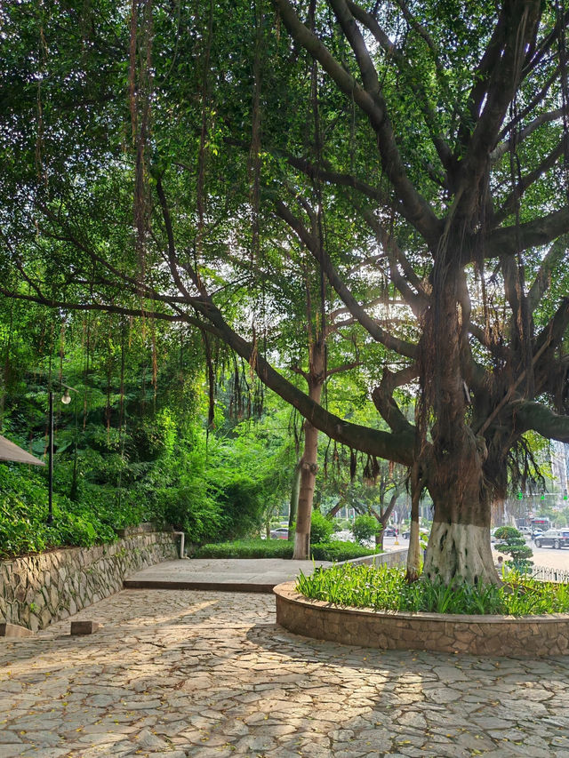 Xiangyue Park 🌳 