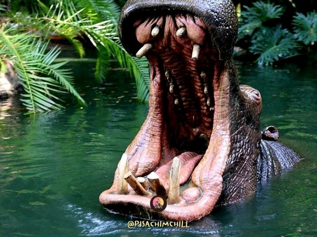 Jungle River Cruise