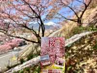 西平畑公園