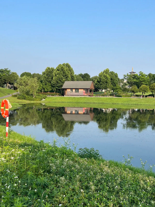 Yanghu Wetland Park 🌾