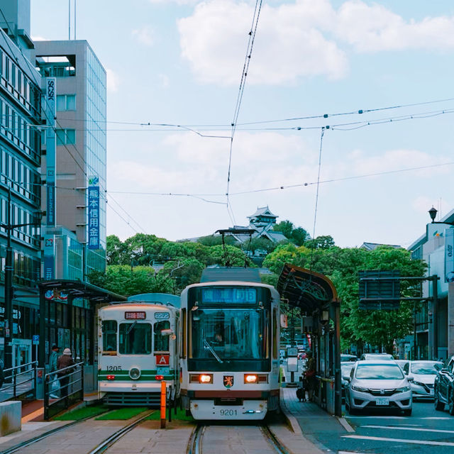 【日本三名城の一つ】熊本城🏯