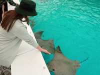 Rooster Cogburn Ostrich Ranch|圖森必玩餵食動物趣味攻略