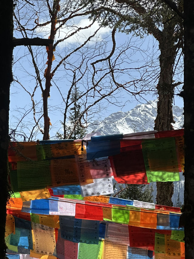 Glacial Citadel: Infiltrating Jiuzhaigou’s Silent Water Vault At 3100m