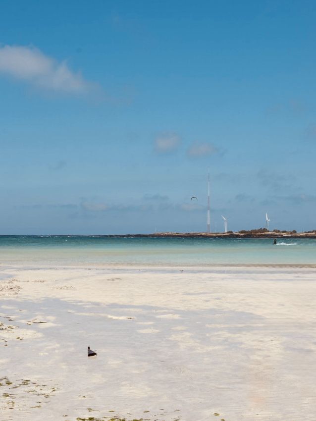 A Serene Coastal Drive with Panoramic Ocean Views