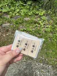 【秋田🇯🇵】日帰りでデジタルデトックス×鶴の湯温泉