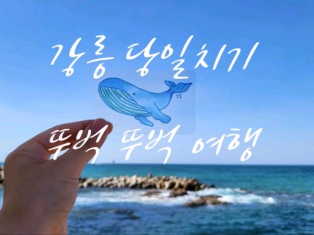 KTX 타고 강릉 당일치기 걷는 여행 코스