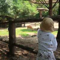NIGHT SAFARI จ.เชียงใหม่