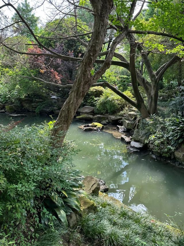Shrine of Strategy: Where Zhuge Liang Lives On