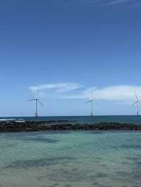 濟州新昌風車海岸