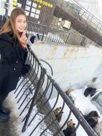 นั่งกระเช้าลอยฟ้าหาหมีน้ำตาลNoboribetsu Bear park