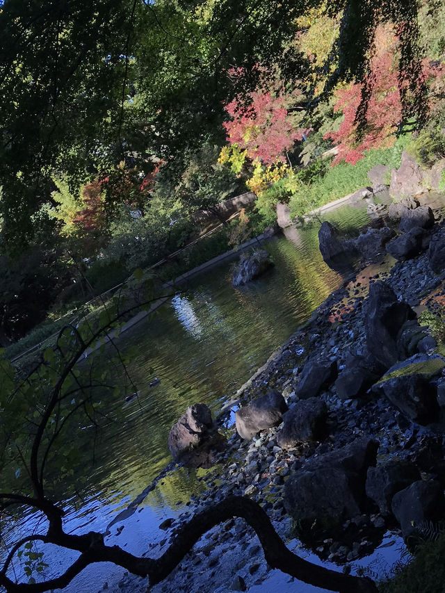 🍁紅葉と異国の風景を歩く秋の横浜散歩　中区　関内　横浜