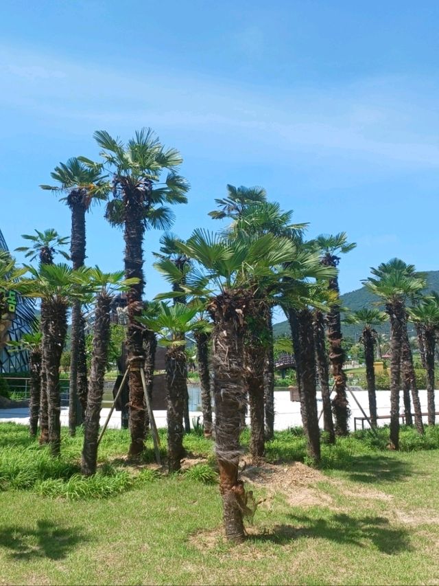 사진 찍기 좋은 감성 스팟, 거제식물원