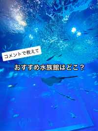 【コメントで教えて】夏におすすめな水族館はどこ？
