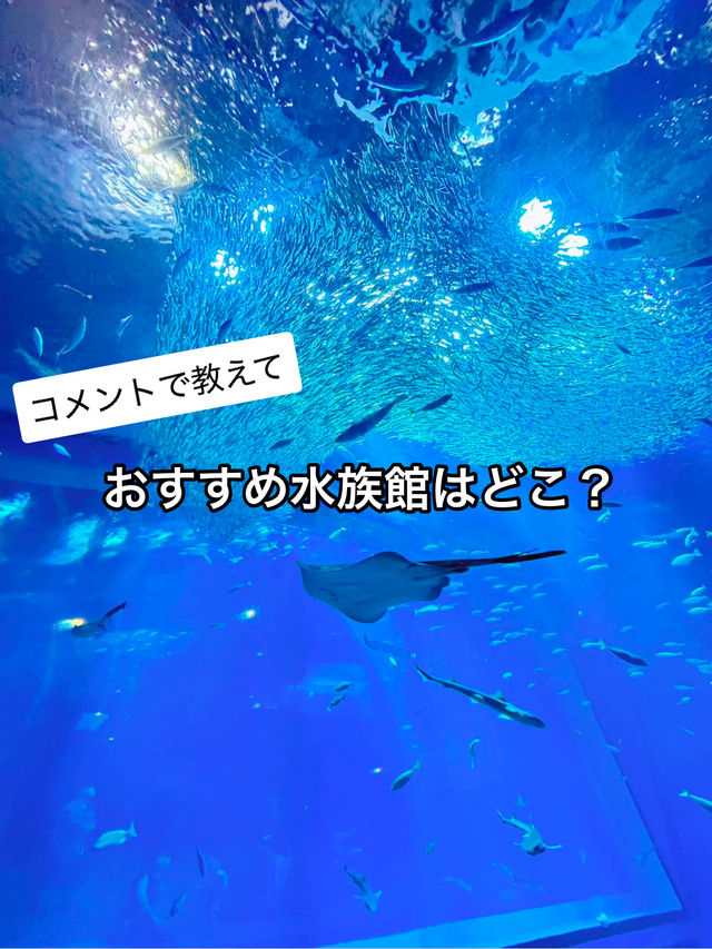 【コメントで教えて】夏におすすめな水族館はどこ？