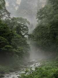 Zhangjiajie’s Sky Gate: A Hike Through Heaven’s Door