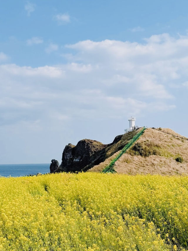 Commanding Views of the Ocean and Nearby Coastline