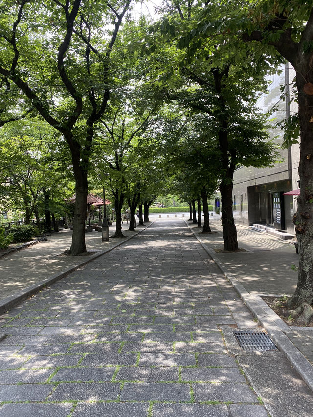 【京都】撮影スポットにも！京都のやまとはし