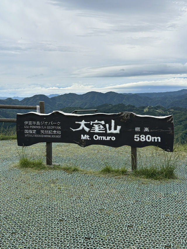 靜岡🇯🇵｜你的名字取景地｜抹茶布甸 